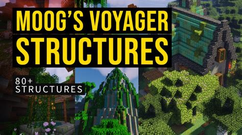 voya mod|Moog's Voyager Structures .